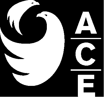 Asset Consulting Engineers logo